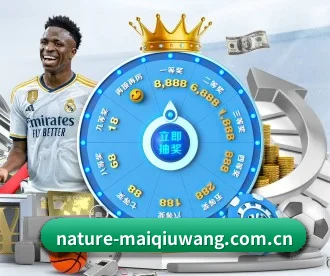 买球网 APP 深度功能 | maiqiuwang