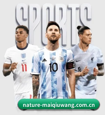 买球网 APP - maiqiuwang